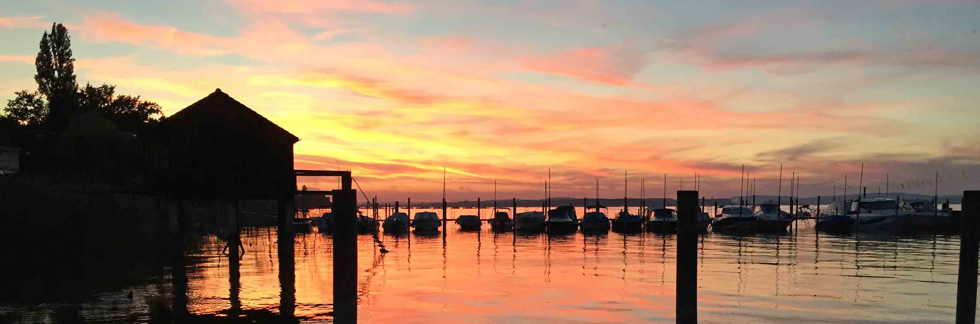 KI-Lösungen für Kleinunternehmer in Romanshorn