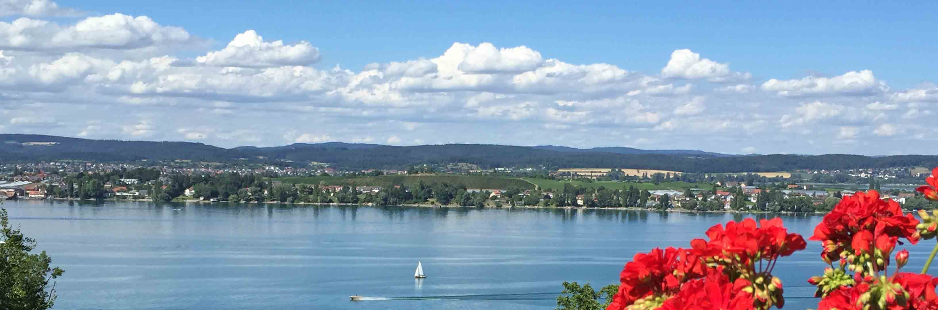 KI-Lösungen für Kleinunternehmer in Romanshorn